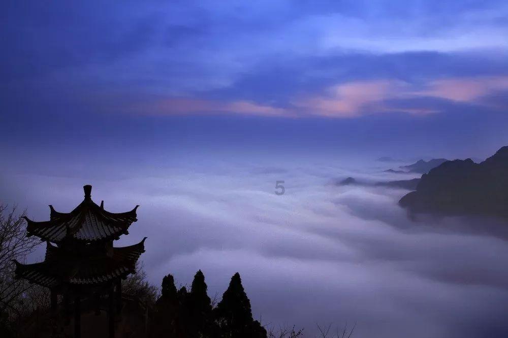 燃烧吧大脑装瓶子游戏